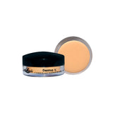 Christine Derma Makeup Base 7 Shades, Beauty & Personal Care, Compact Powder, Christine, Chase Value