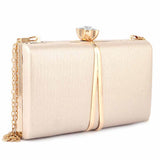 Women's Fancy Clutch (9211) - Champagne, Women, Clutches, Chase Value, Chase Value