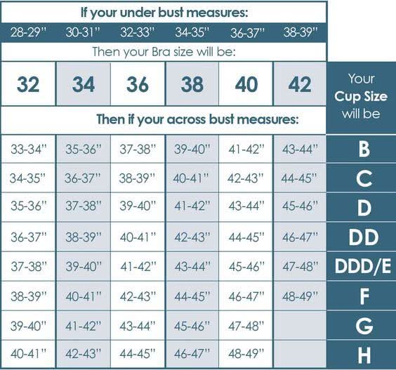 Women's Cotton Bra (DN-366C) - Black, Women, Bras, Chase Value, Chase Value
