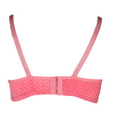 Women's Foam Bra - Pink, Women, Bras, Chase Value, Chase Value