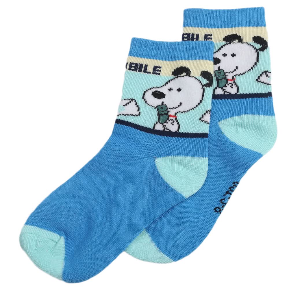 Boys Socks - Blue, Kids, Boys Socks, Chase Value, Chase Value