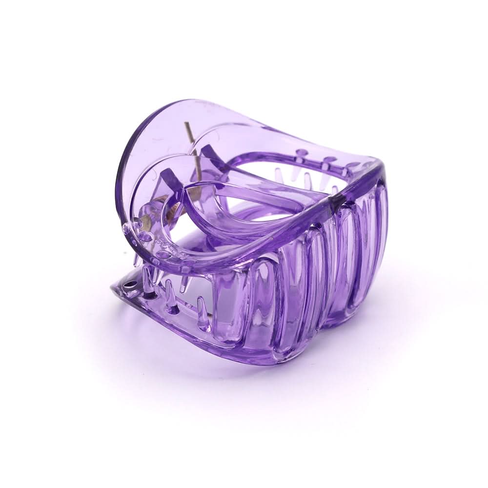 Women's Thai Catcher - Purple, Women, Hair And Head Jewellery, Chase Value, Chase Value