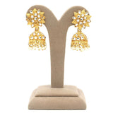 Women's Jhumki - Golden, Women, Earrings & Tops, Chase Value, Chase Value