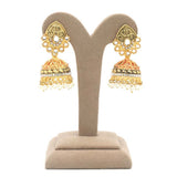 Women's Jhumki - Golden, Women, Earrings & Tops, Chase Value, Chase Value