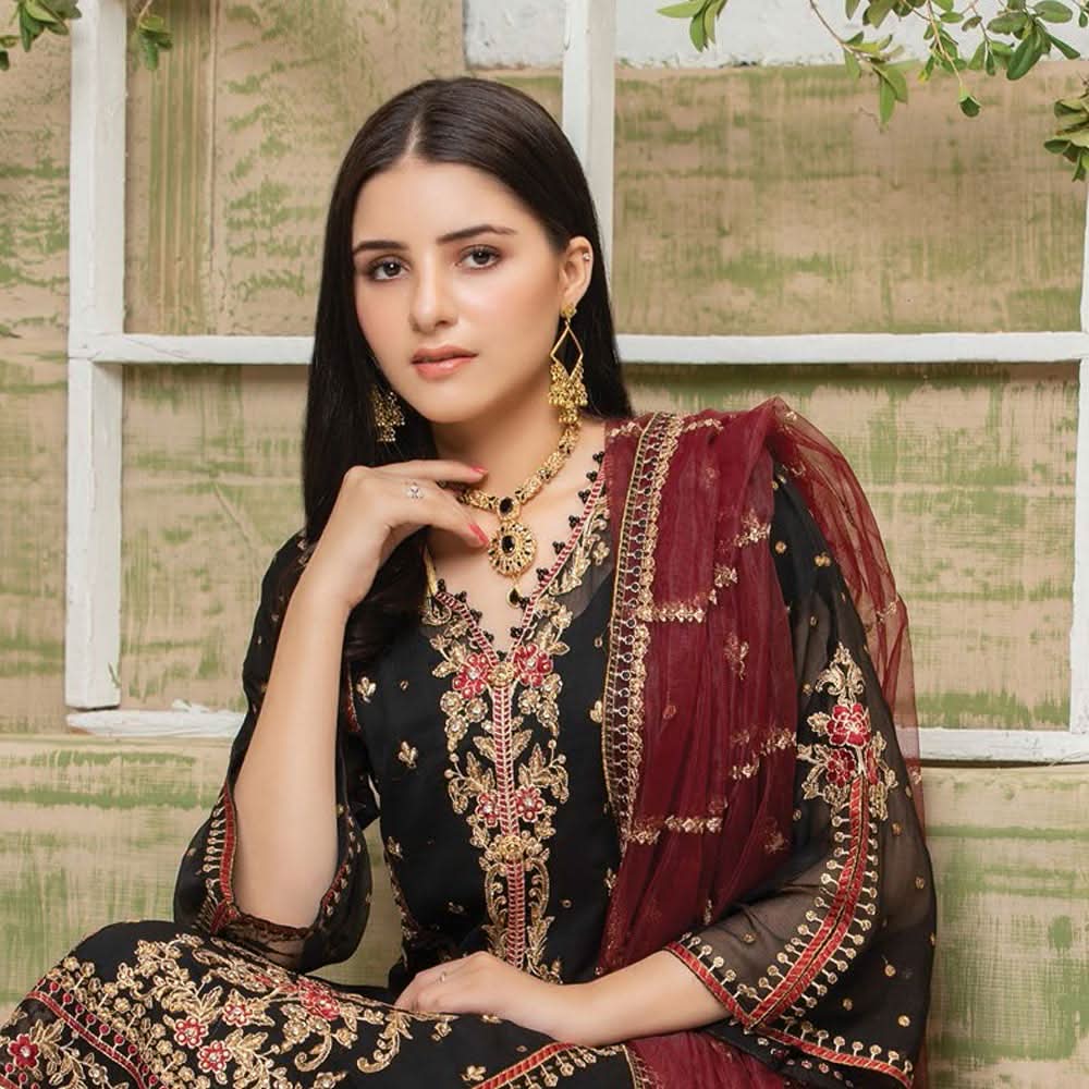 Luxury Embroidered Chiffon Semi-Stitched Suit - AY-2761, Women, 3Pcs Shalwar Suit, Rana Arts, Chase Value
