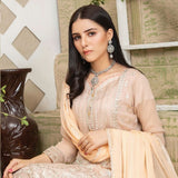 Luxury Embroidered Chiffon Semi-Stitched Suit - AY-2768, Women, 3Pcs Shalwar Suit, Rana Arts, Chase Value