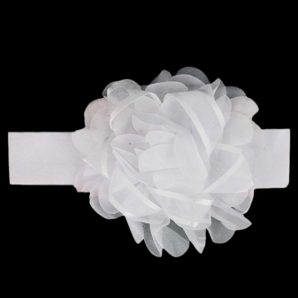 Girls Headband - White, Kids, Hair Accessories, Chase Value, Chase Value