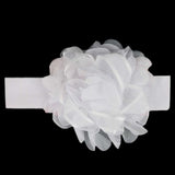 Girls Headband - White, Kids, Hair Accessories, Chase Value, Chase Value