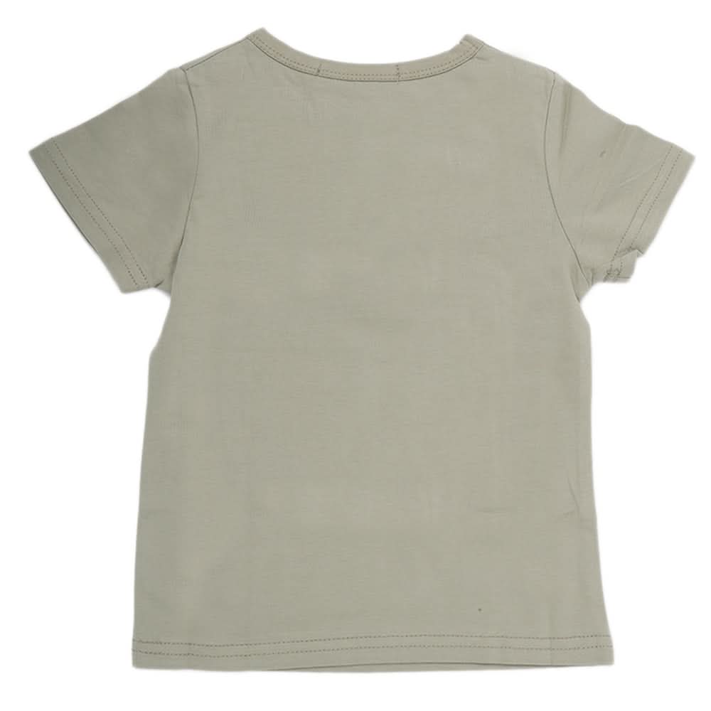 Boys Half Sleeves T-Shirt - Light Green, Kids, Boys T-Shirts, Chase Value, Chase Value