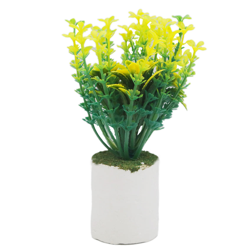 Bonsai Flower Pot Mini - A, Home & Lifestyle, Decoration, Chase Value, Chase Value