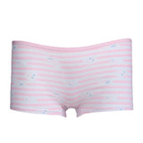 Women's Fancy Boxer (UA-381) - Pink, Undergarments, Chase Value, Chase Value