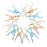 Laundry Clip - Multi, Home & Lifestyle, Accessories, Chase Value, Chase Value