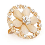 Women's Scarf Brooch - Golden, Women, Scarf Pins & Brooches, Chase Value, Chase Value