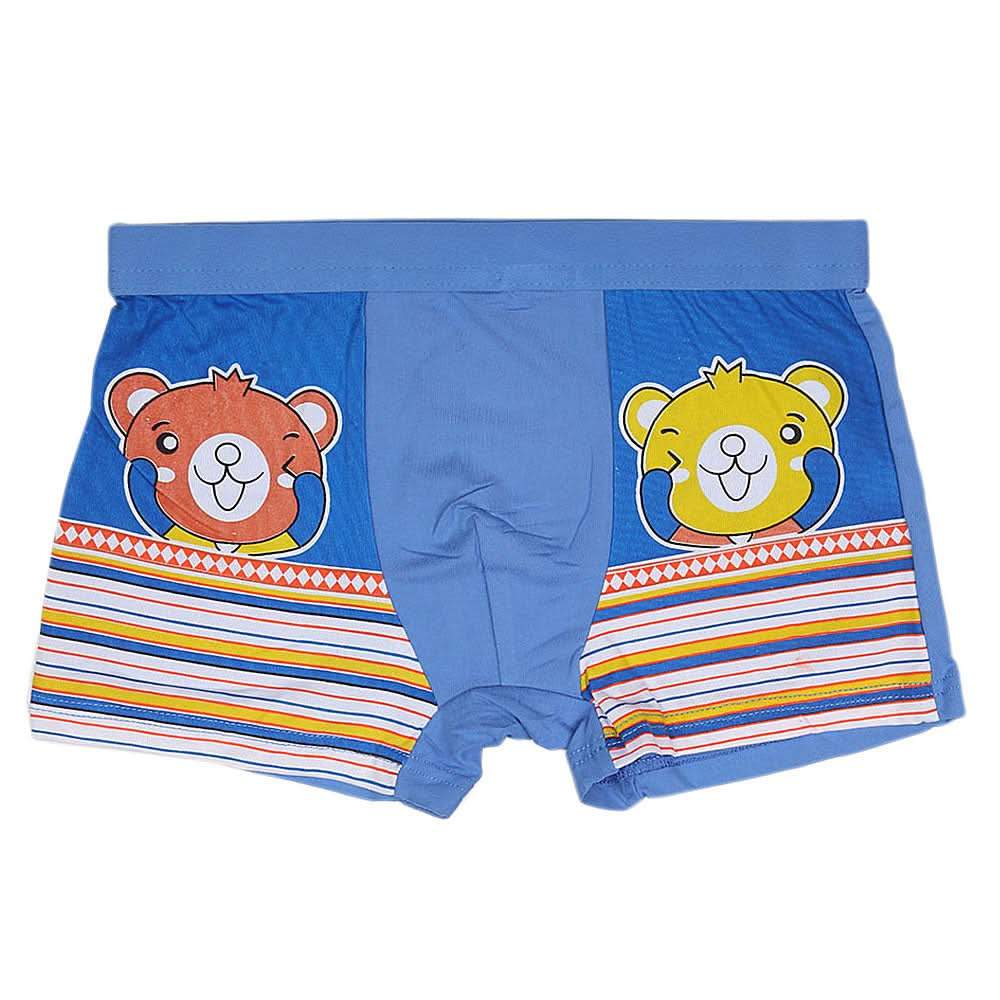 Boys Boxer - Blue - test-store-for-chase-value