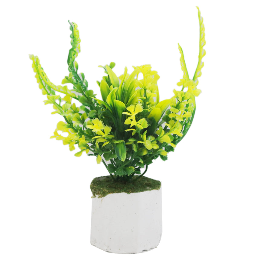 Bonsai Flower Pot Mini - B, Home & Lifestyle, Decoration, Chase Value, Chase Value
