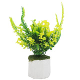 Bonsai Flower Pot Mini - B, Home & Lifestyle, Decoration, Chase Value, Chase Value