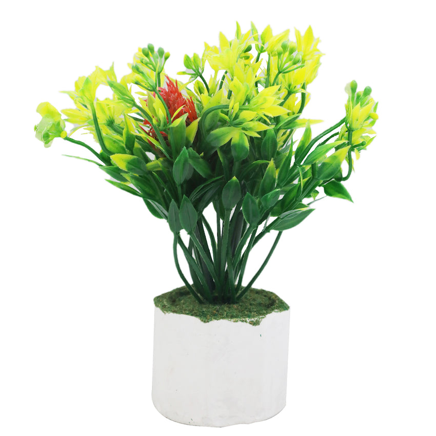 Bonsai Flower Pot Mini - C, Home & Lifestyle, Decoration, Chase Value, Chase Value