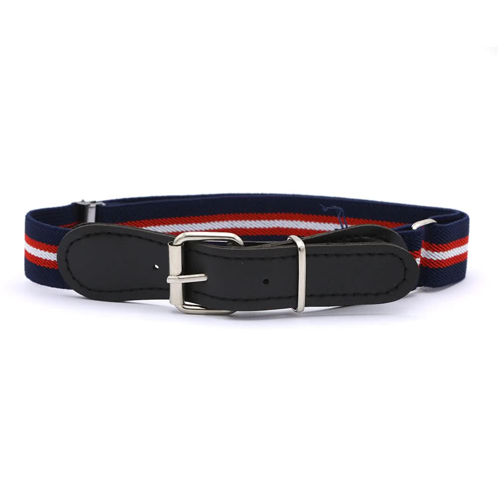 Kids Stretchable Belt - Multi, Kids, Belts And Gallace, Chase Value, Chase Value