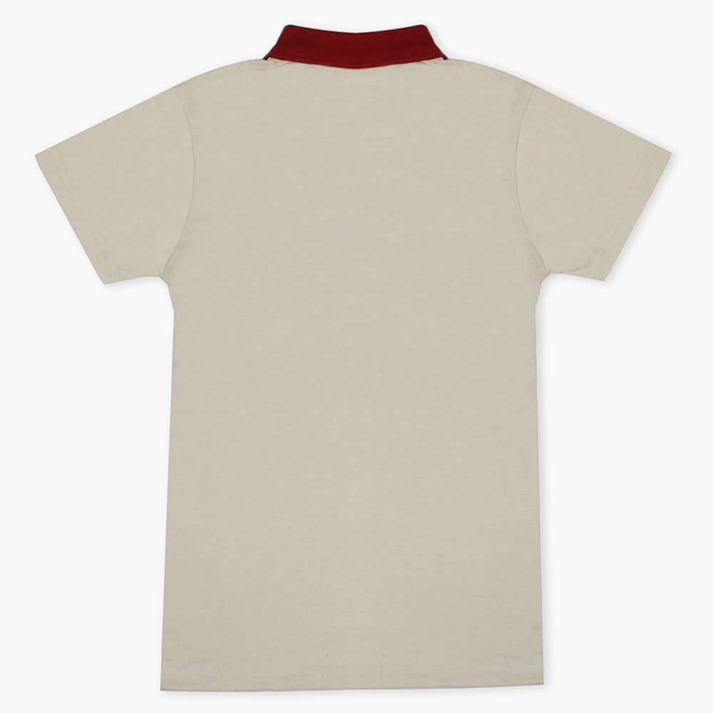 Boys Half Sleeves Polo T-Shirt - Maroon, Boys T-Shirts, Chase Value, Chase Value