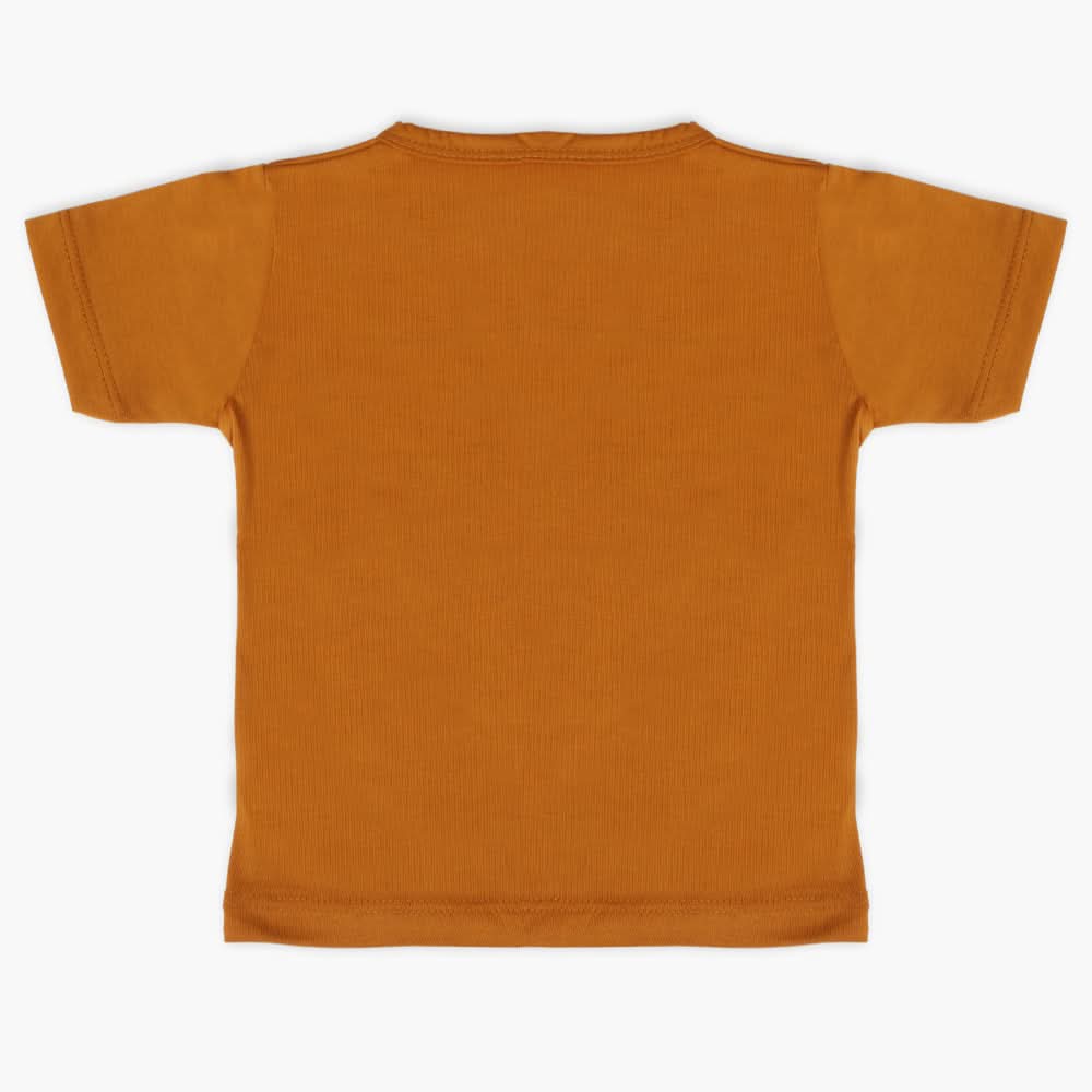 Boys Half Sleeves T-Shirt - Mustard, Boys T-Shirts, Chase Value, Chase Value