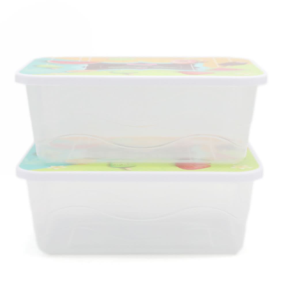 Storage Box 2 Pcs Set - Multi, Home & Lifestyle, Storage Boxes, Chase Value, Chase Value