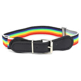 Kids stich able Belt - Multi, Kids, Belts And Gallace, Chase Value, Chase Value