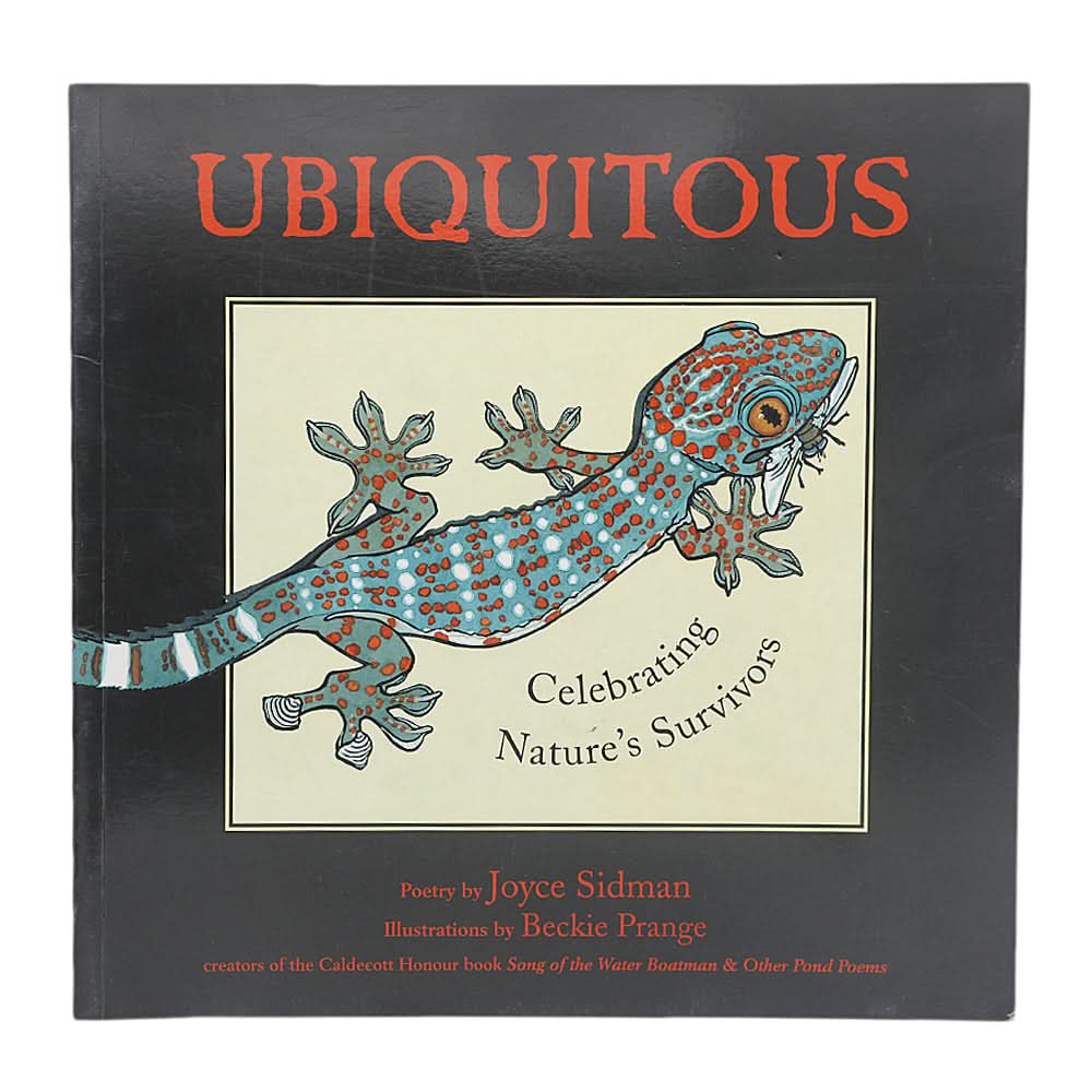 General Knowledge Ubiquitous, Kids, Kids Educational Books, 9 to 12 Years, Chase Value