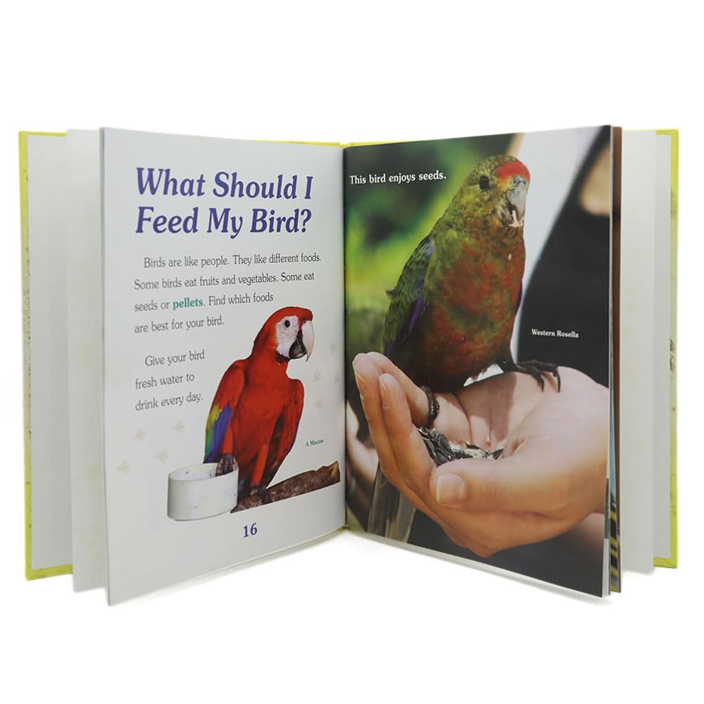 General Knowledge My First Bird, Kids, Kids Educational Books, 9 to 12 Years, Chase Value