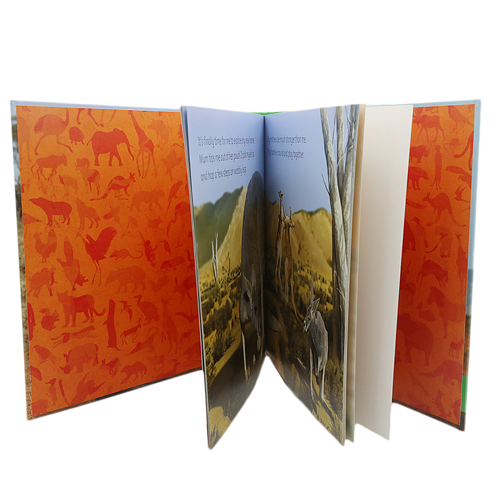 General Knowledge Animal Planet Kangroo, Kids, Kids Educational Books, 9 to 12 Years, Chase Value