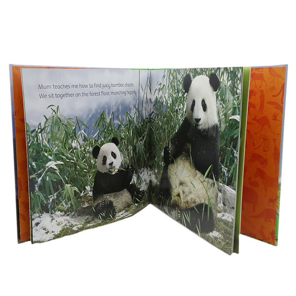 General Knowledge Animal Planet Panda, Kids, Kids Educational Books, 9 to 12 Years, Chase Value