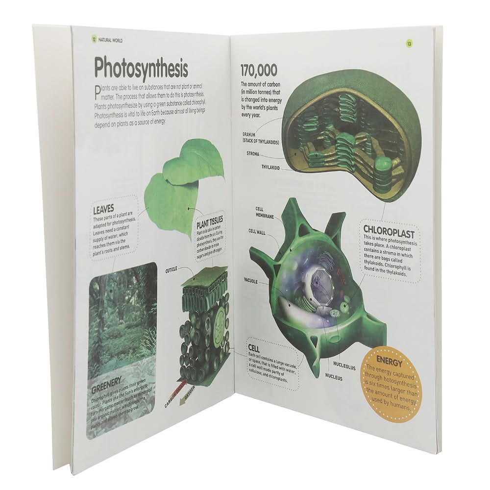 General Knowledge Fact File Natural World, Kids, Kids Educational Books, 6 to 9 Years, Chase Value
