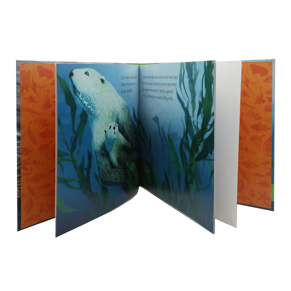 General Knowledge Animal Planet Otter, Kids, Kids Educational Books, 9 to 12 Years, Chase Value