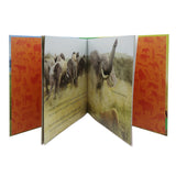 General Knowledge Animal Planet Elephant, Kids, Kids Educational Books, 9 to 12 Years, Chase Value