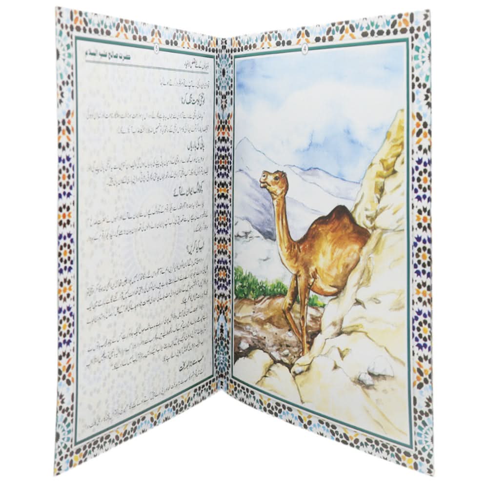 Hazrat Soleha A.S, Kids, Kids Story Books, 6 to 9 Years, Chase Value