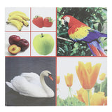 Learning Meray Itnay Sary Rung, Kids, Kids Educational Books, 3 to 6 Years, Chase Value