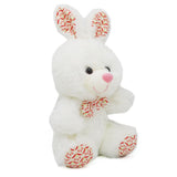 Stuff Toys Bear (Ay576-Ay585) - White, Kids, Stuffed Toys, Chase Value, Chase Value