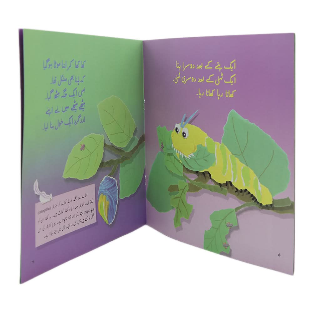 Story Chhota Keera, Kids, Kids Story Books, 6 to 9 Years, Chase Value