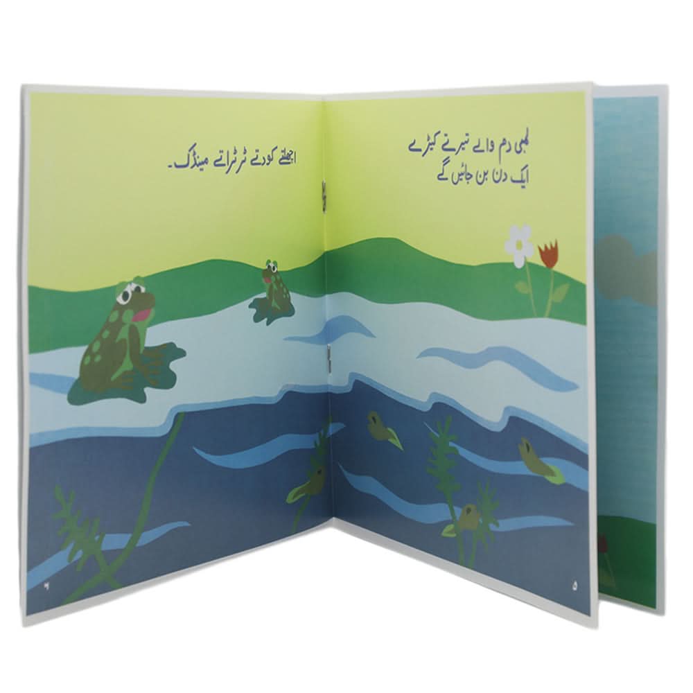 Story Baray Ho Kar, Kids, Kids Story Books, 6 to 9 Years, Chase Value