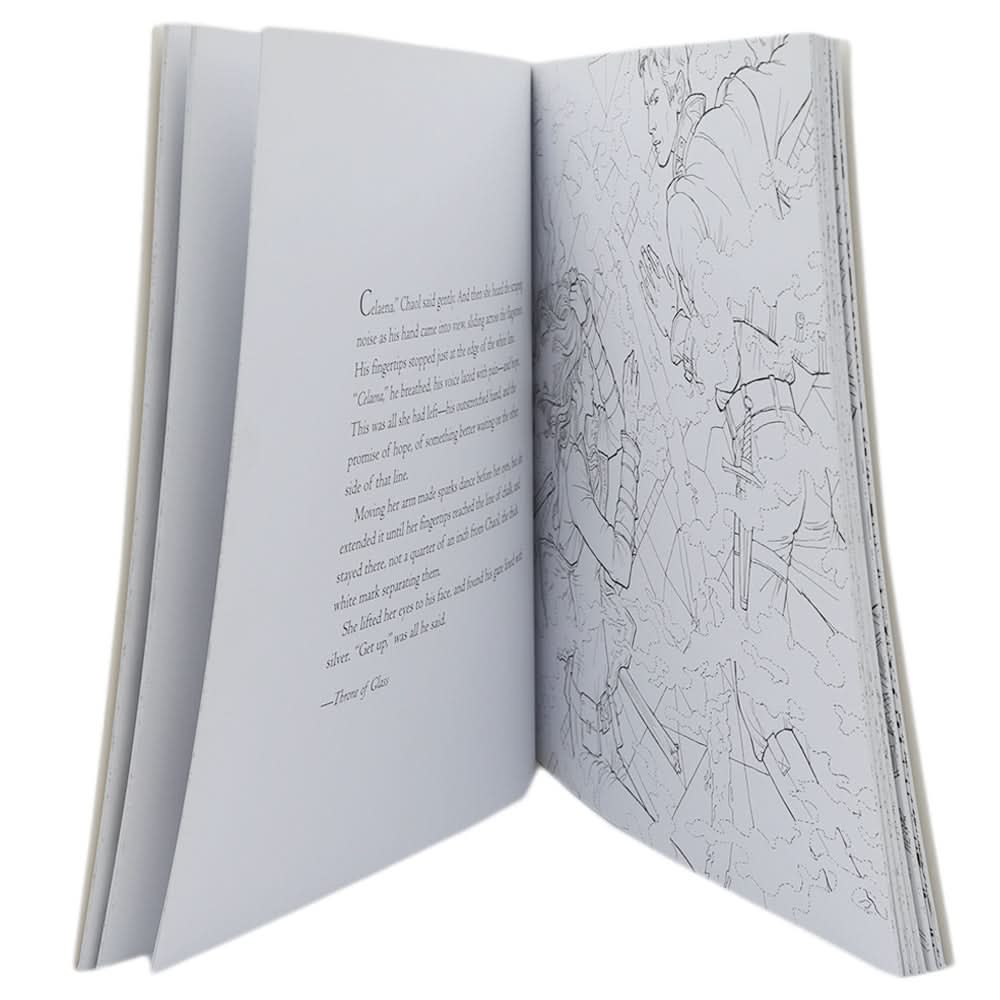Throne Of Glass Colouring Book, Kids, Colouring Tools, Chase Value, Chase Value