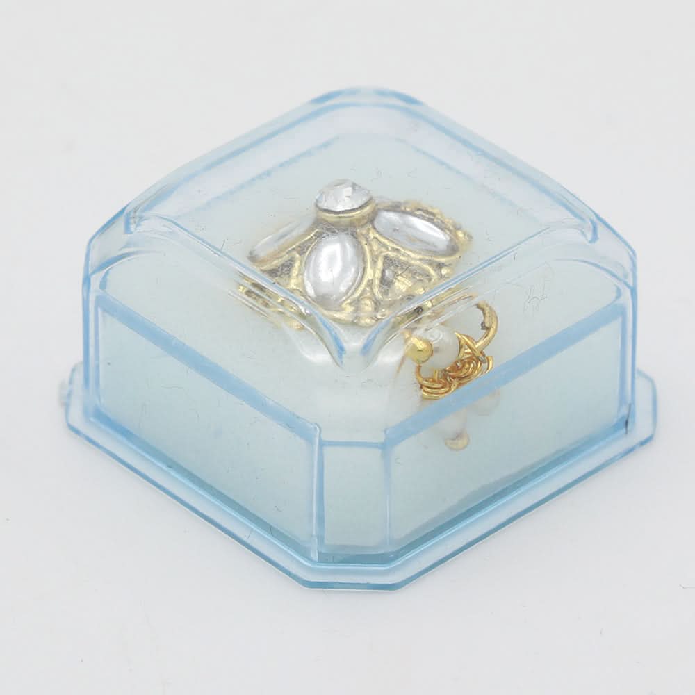 Women's Nose Pin - Golden, Women, Nose Jewellery, Chase Value, Chase Value