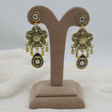 Women's Fancy Earrings - Golden, Women, Earrings & Tops, Chase Value, Chase Value
