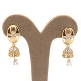 Women's Earrings - Golden, Women, Earrings & Tops, Chase Value, Chase Value