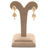 Women's Earrings - Golden, Women, Earrings & Tops, Chase Value, Chase Value