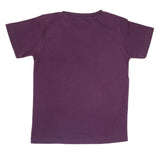 Boys Half Sleeves Jersey T-Shirt 4125 - Purple, Kids, Boys T-Shirts, Chase Value, Chase Value