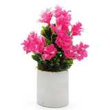 Bonsai Mini Flower Pot - E, Home & Lifestyle, Decoration, Chase Value, Chase Value