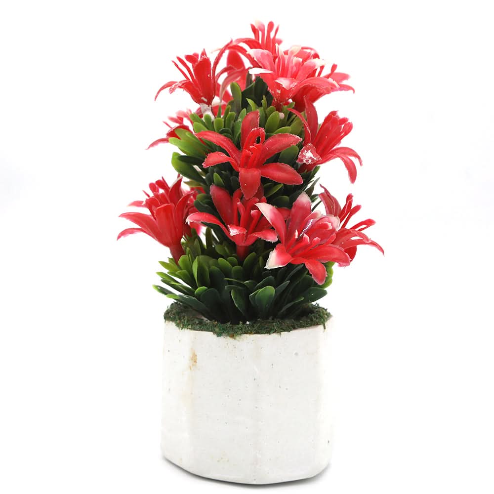 Bonsai Mini Flower Pot - N, Home & Lifestyle, Decoration, Chase Value, Chase Value
