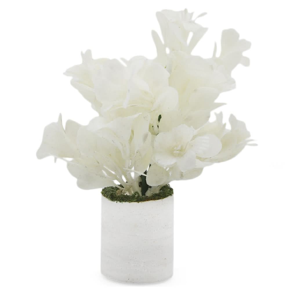 Bonsai Mini Flower Pot - J, Home & Lifestyle, Decoration, Chase Value, Chase Value