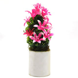 Bonsai Mini Flower Pot - C, Home & Lifestyle, Decoration, Chase Value, Chase Value