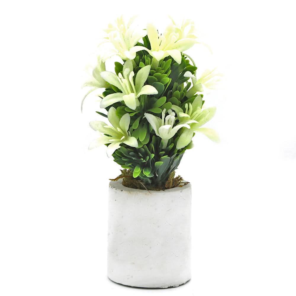 Bonsai Mini Flower Pot - A, Home & Lifestyle, Decoration, Chase Value, Chase Value