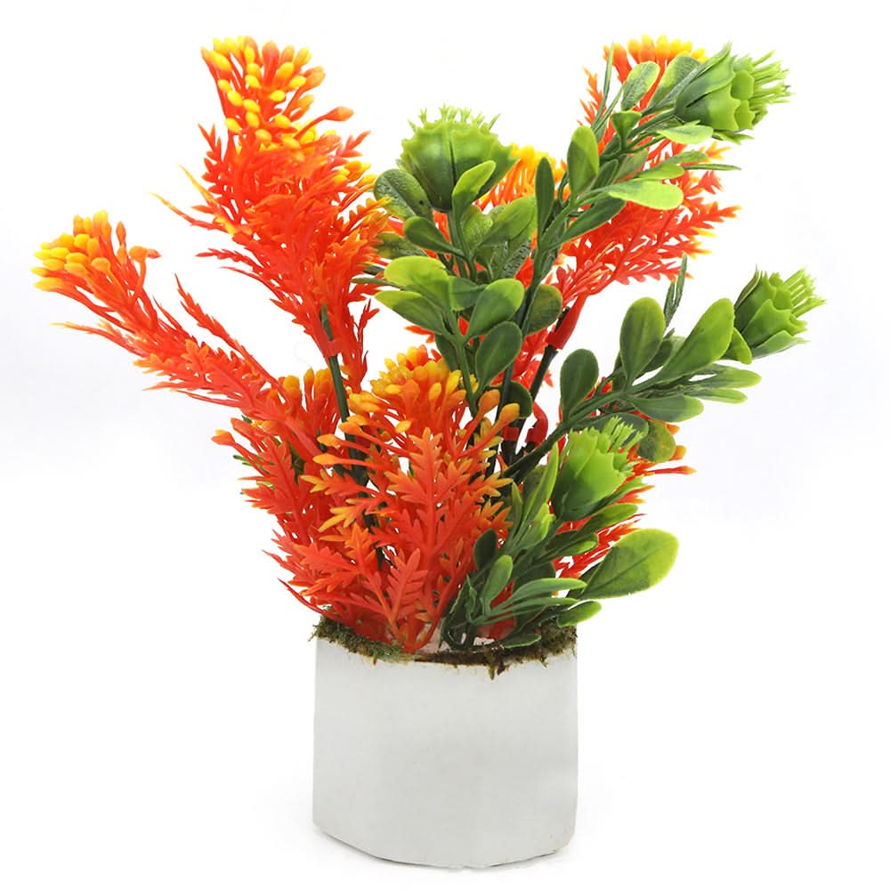 Bonsai Mini Flower Pot - K, Home & Lifestyle, Decoration, Chase Value, Chase Value